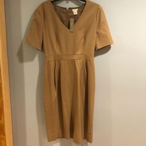 J. Crew dress